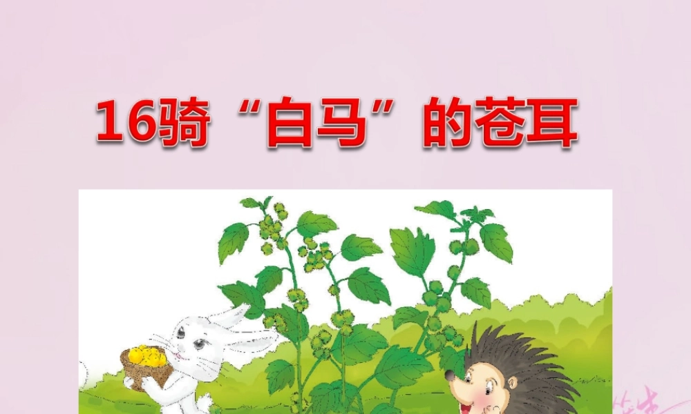 二年级语文下册 课文4 16 骑“白马”的苍耳课件 西师大版-西师大版小学二年级下册语文课件