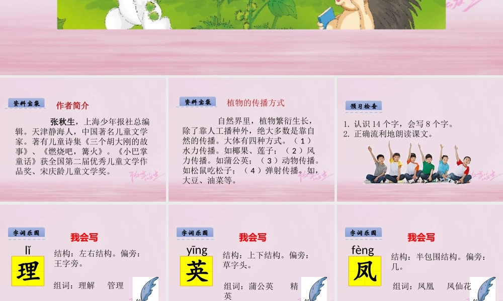 二年级语文下册 课文4 16 骑“白马”的苍耳课件 西师大版-西师大版小学二年级下册语文课件