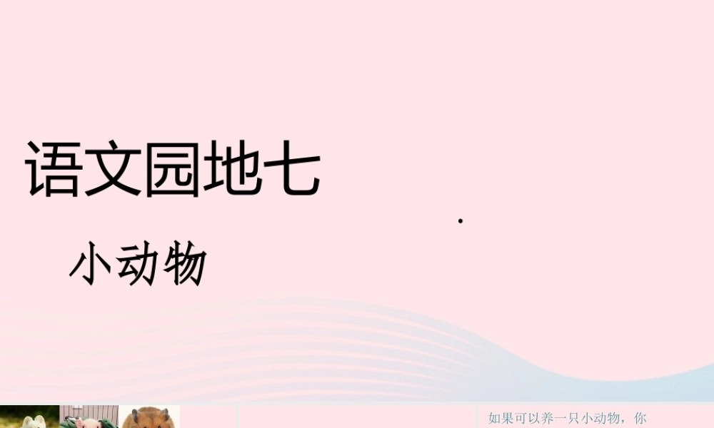 二年级语文下册 课文6 语文园地七《小动物》课件 新人教版-新人教版小学二年级下册语文课件