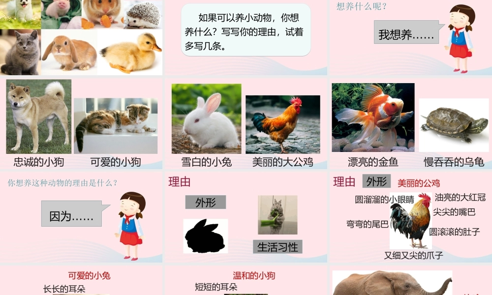 二年级语文下册 课文6 语文园地七《小动物》课件 新人教版-新人教版小学二年级下册语文课件