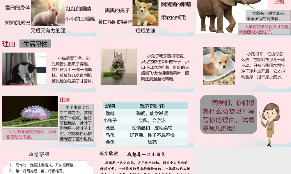 二年级语文下册 课文6 语文园地七《小动物》课件 新人教版-新人教版小学二年级下册语文课件