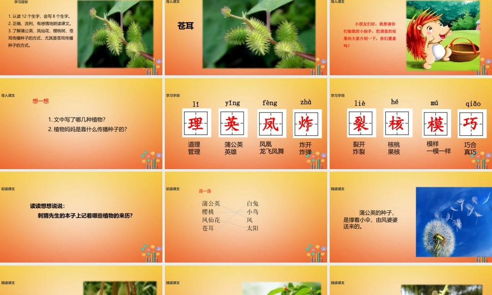 二年级语文下册 课文4 16《骑“白马”的苍耳》课件 西师大版-西师大版小学二年级下册语文课件