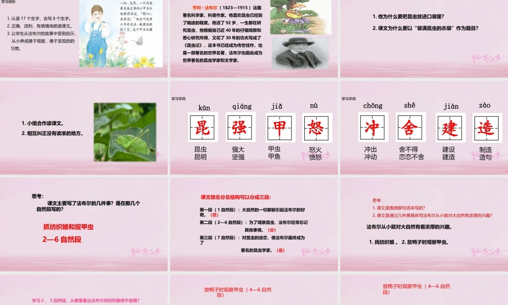 二年级语文下册 课文4 17 装昆虫的口袋课件 西师大版-西师大版小学二年级下册语文课件