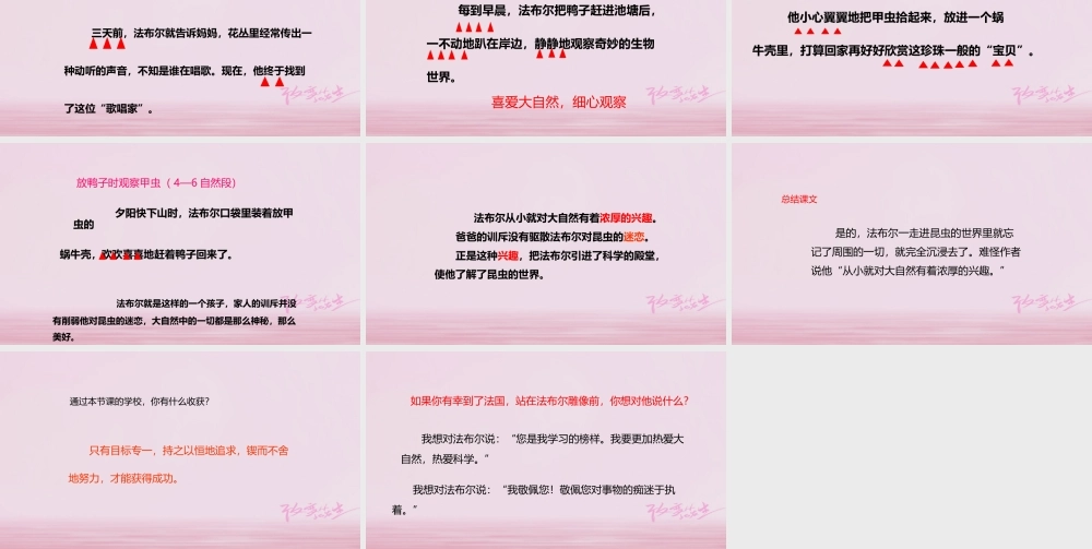 二年级语文下册 课文4 17 装昆虫的口袋课件 西师大版-西师大版小学二年级下册语文课件