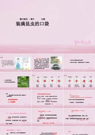 二年级语文下册 课文4 17 装昆虫的口袋课件 西师大版-西师大版小学二年级下册语文课件