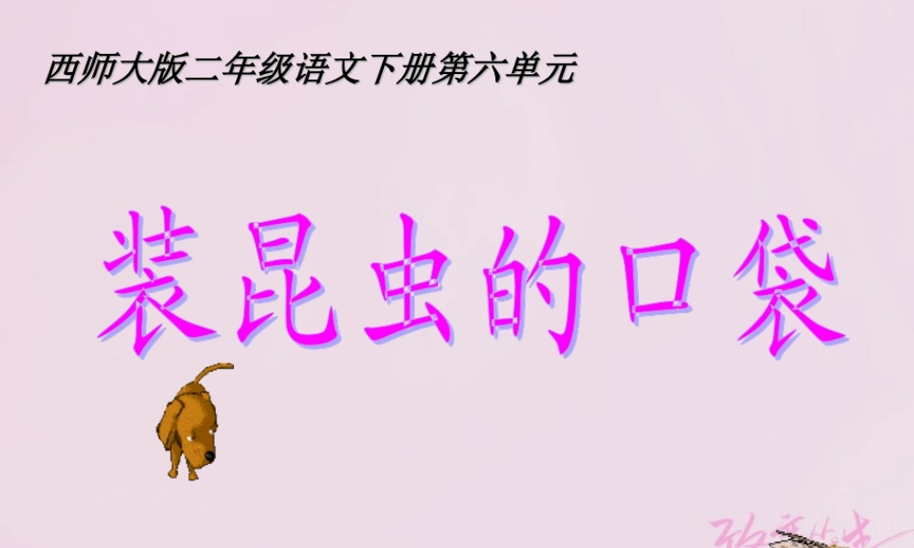 二年级语文下册 课文4 17 装满昆虫的口袋教学课件 西师大版-西师大版小学二年级下册语文课件