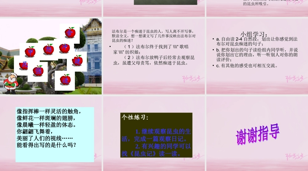 二年级语文下册 课文4 17 装满昆虫的口袋教学课件 西师大版-西师大版小学二年级下册语文课件