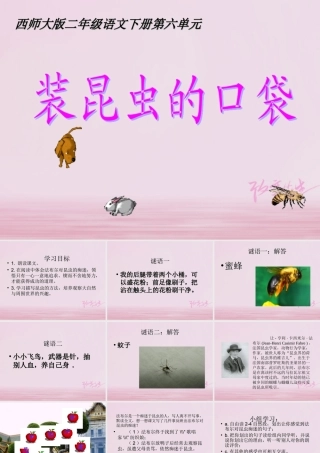 二年级语文下册 课文4 17 装满昆虫的口袋教学课件 西师大版-西师大版小学二年级下册语文课件