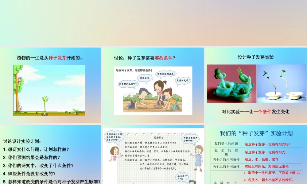 五年级科学上册 生物与环境 1种子发芽实验生物与环境课件 教科版-教科版小学五年级上册自然科学课件