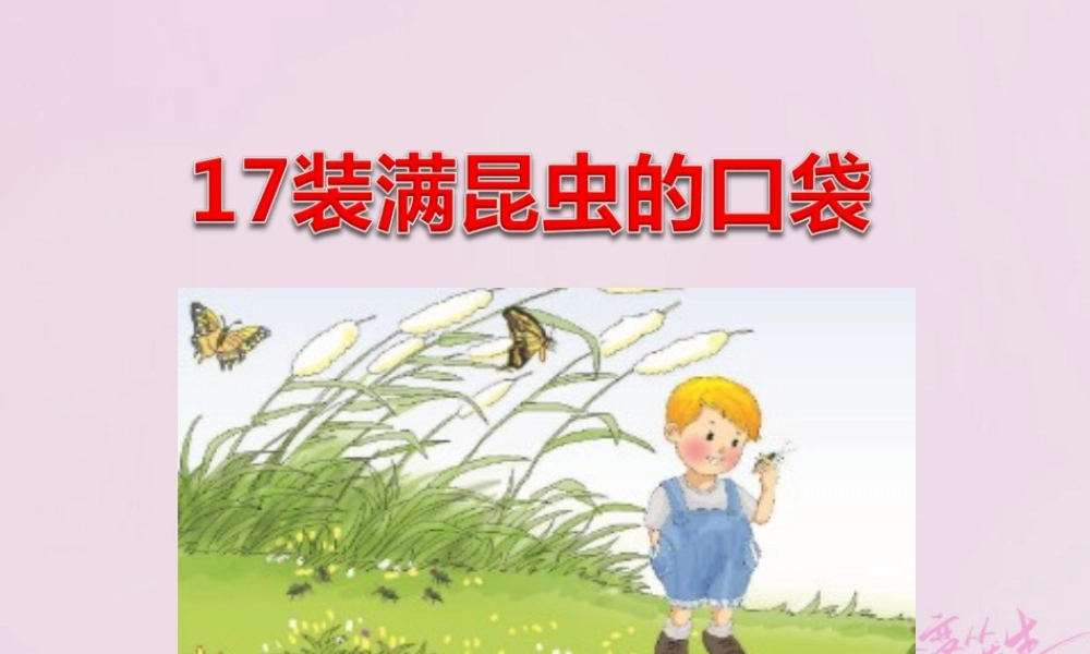 二年级语文下册 课文4 17 装满昆虫的口袋课件 西师大版-西师大版小学二年级下册语文课件