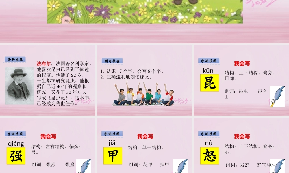 二年级语文下册 课文4 17 装满昆虫的口袋课件 西师大版-西师大版小学二年级下册语文课件