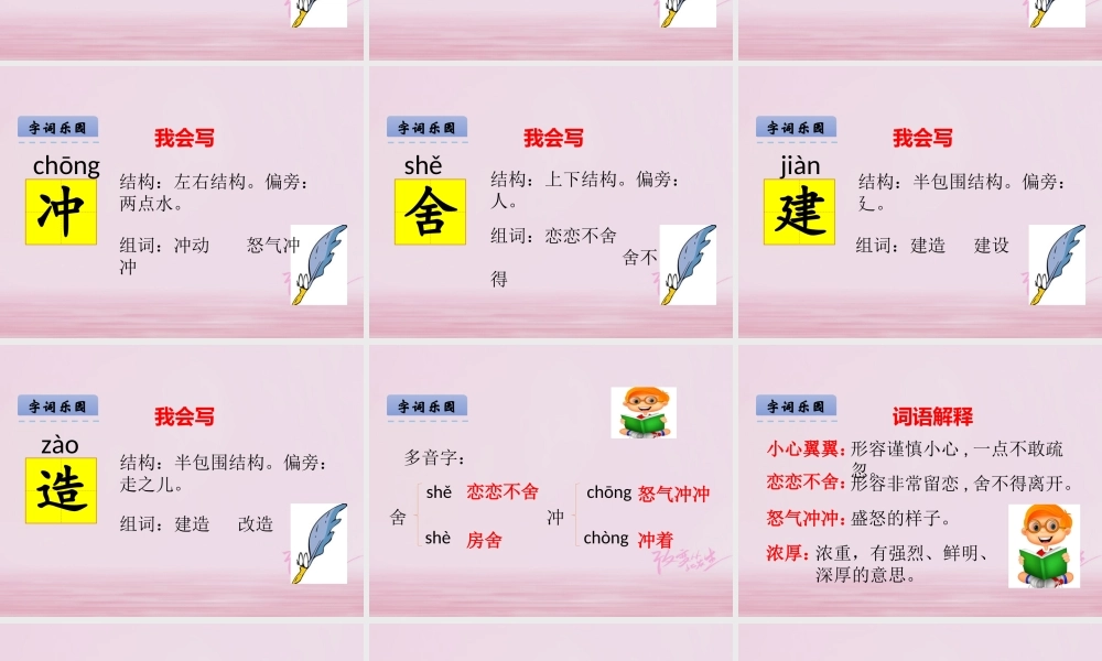 二年级语文下册 课文4 17 装满昆虫的口袋课件 西师大版-西师大版小学二年级下册语文课件