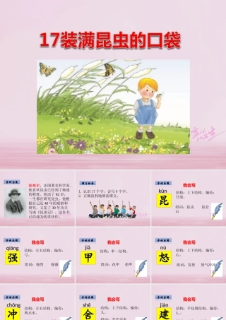 二年级语文下册 课文4 17 装满昆虫的口袋课件 西师大版-西师大版小学二年级下册语文课件