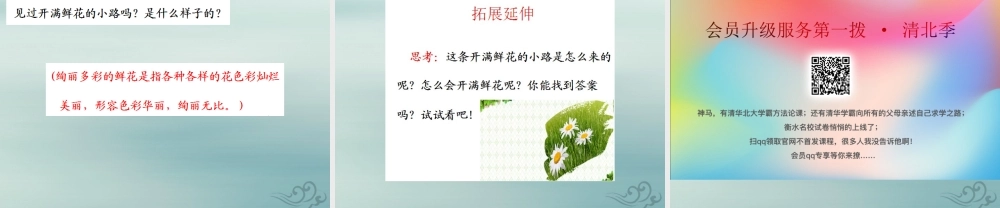 二年级语文下册 第一单元 课文1 3 开满鲜花的小路教学课件 新人教版-新人教版小学二年级下册语文课件