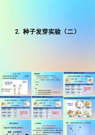 五年级科学上册 生物与环境 2种子发芽实验二课件 教科版-教科版小学五年级上册自然科学课件