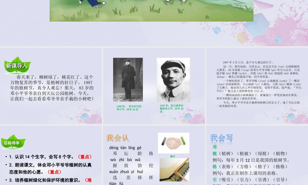 二年级语文下册 第一单元 课文1 4 邓小平爷爷植树教学课件 新人教版-新人教版小学二年级下册语文课件