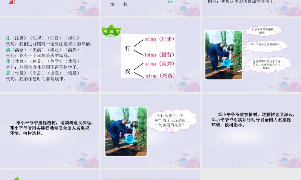 二年级语文下册 第一单元 课文1 4 邓小平爷爷植树教学课件 新人教版-新人教版小学二年级下册语文课件