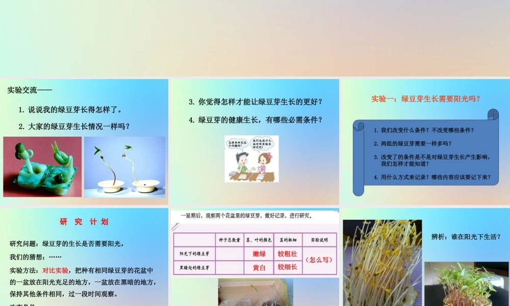 五年级科学上册 生物与环境 3观察绿豆芽的生长课件 教科版-教科版小学五年级上册自然科学课件