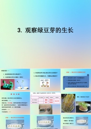 五年级科学上册 生物与环境 3观察绿豆芽的生长课件 教科版-教科版小学五年级上册自然科学课件