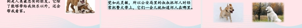 二年级语文下册 课文6 语文园地七课件1 新人教版-新人教级下册语文课件