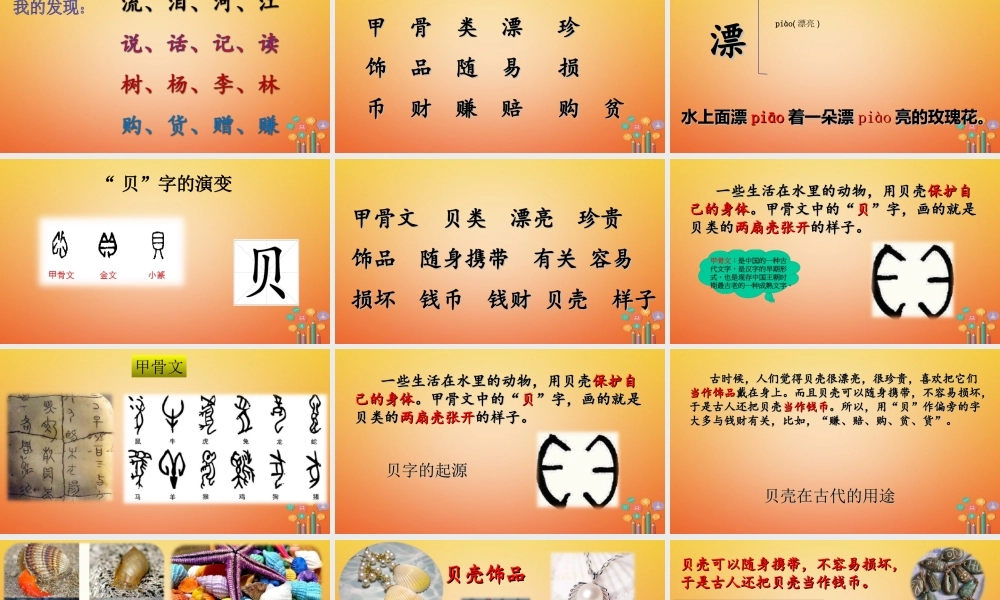 二年级语文下册 识字3“贝”的故事课件1 新人教版-新人教版小学二年级下册语文课件