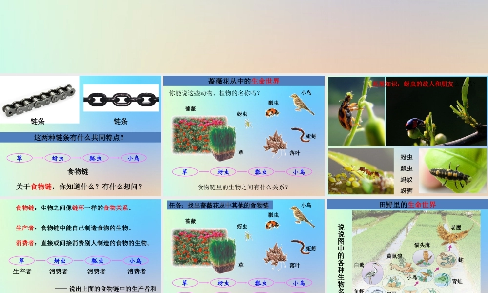 五年级科学上册 生物与环境 5食物链和食物网课件 教科版-教科版小学五年级上册自然科学课件
