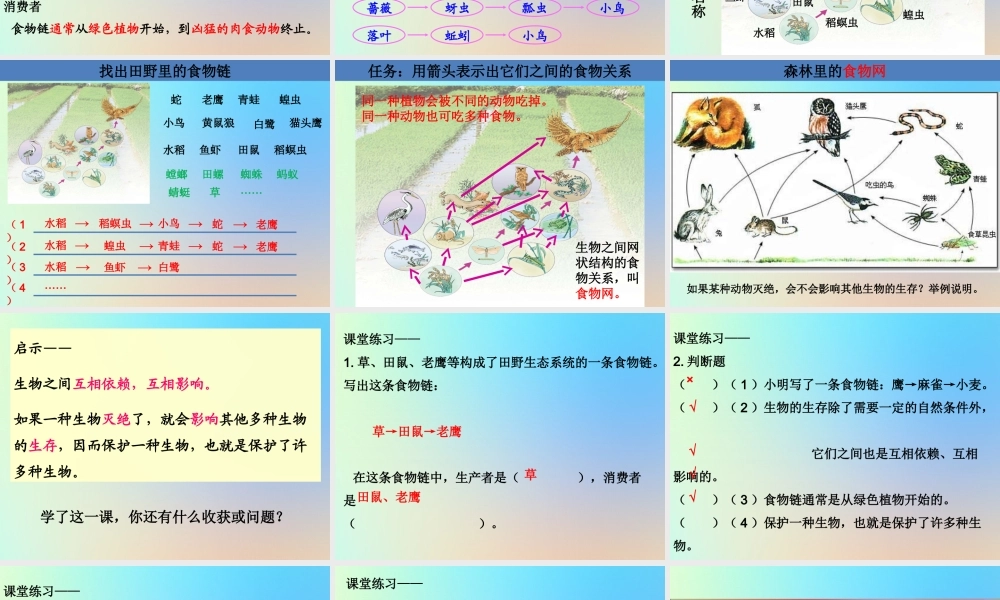五年级科学上册 生物与环境 5食物链和食物网课件 教科版-教科版小学五年级上册自然科学课件