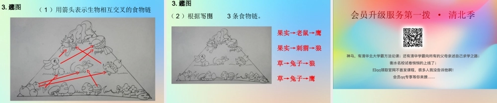 五年级科学上册 生物与环境 5食物链和食物网课件 教科版-教科版小学五年级上册自然科学课件