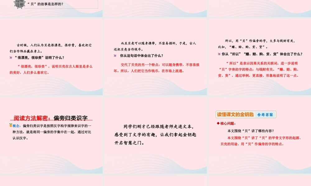 二年级语文下册 识字3《贝的故事》（第2课时）课件 新人教版-新人教版小学二年级下册语文课件
