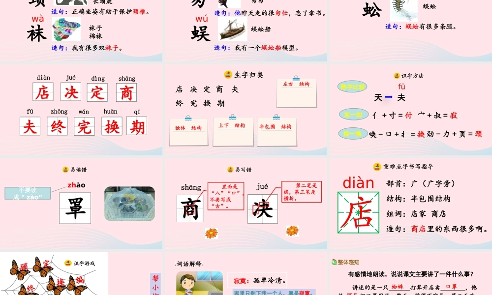 二年级语文下册 课文6 蛛开店》教学课件 新人教版-新人教级下册语文课件