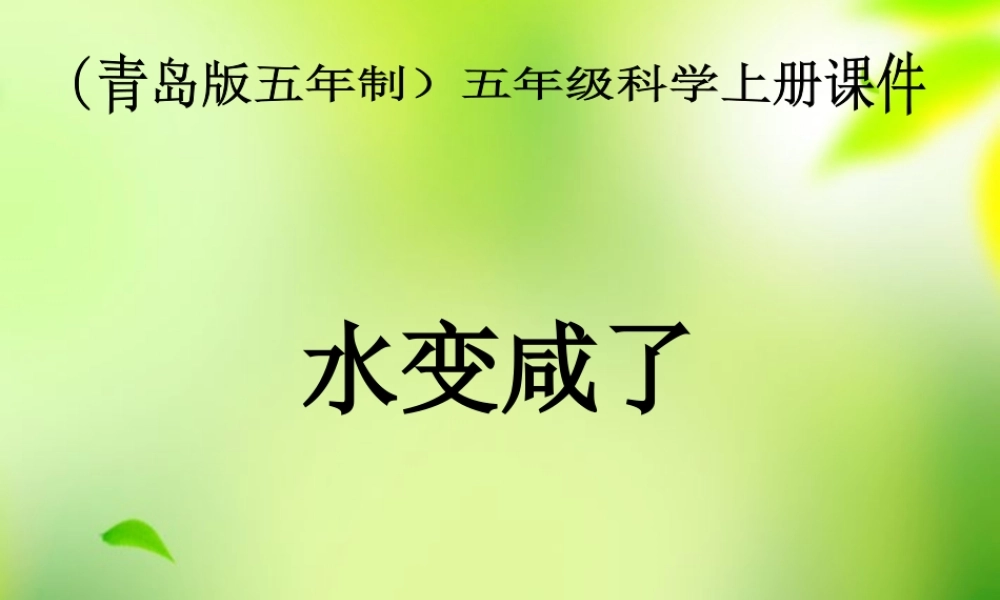 五年级科学上册 水变咸了 1课件 青岛版