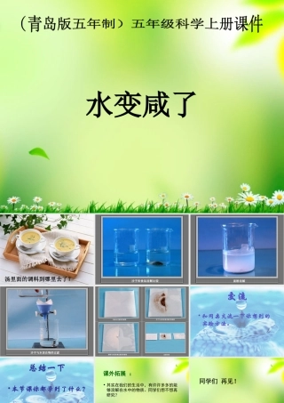 五年级科学上册 水变咸了 1课件 青岛版