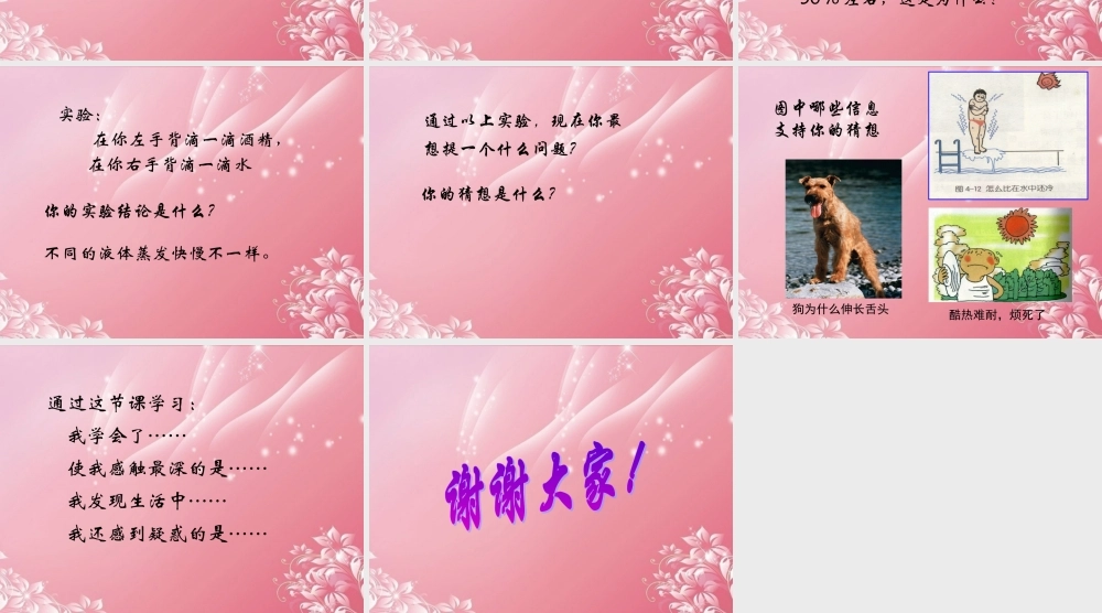 五年级科学上册 水到哪里去了 4课件 首师大版