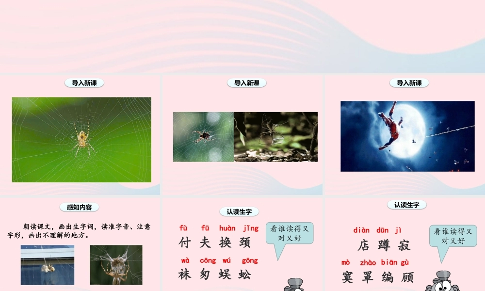 二年级语文下册 课文6 蛛开店课件 新人教版-新人教级下册语文课件