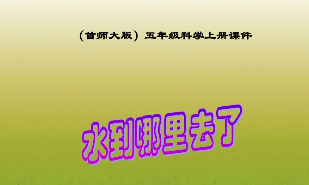 五年级科学上册 水到哪里去了(1)课件 首师大版