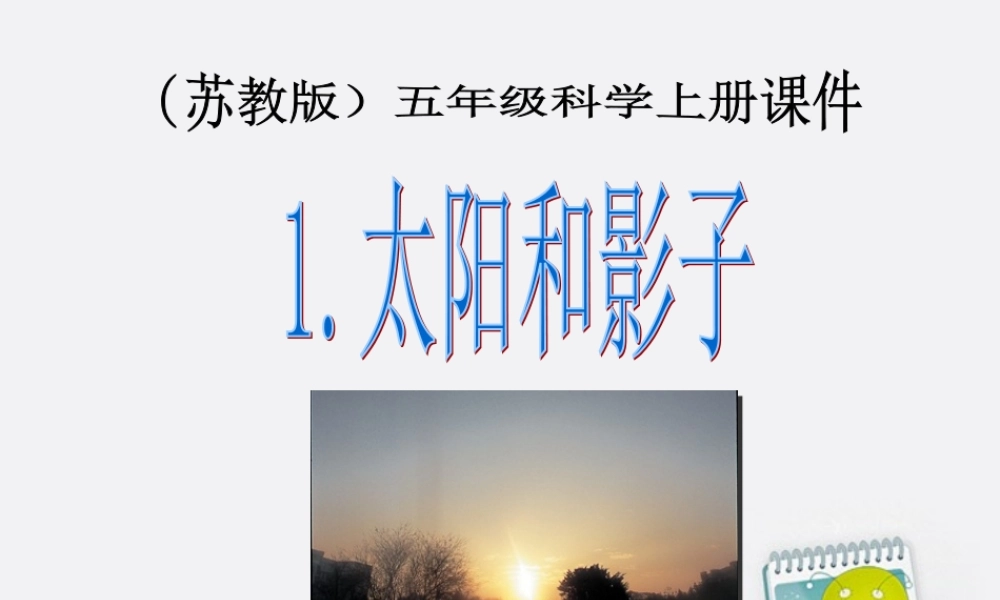 五年级科学上册 太阳和影子 1课件 苏教版