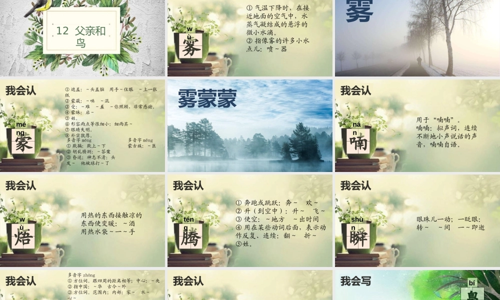 二年级语文下册 课文4 第12课《父亲和鸟》课件 鄂教版-鄂教版小学二年级下册语文课件