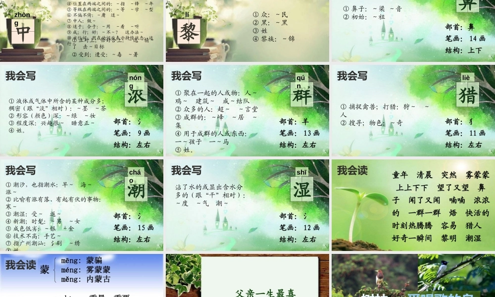 二年级语文下册 课文4 第12课《父亲和鸟》课件 鄂教版-鄂教版小学二年级下册语文课件