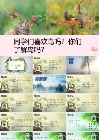 二年级语文下册 课文4 第12课《父亲和鸟》课件 鄂教版-鄂教版小学二年级下册语文课件