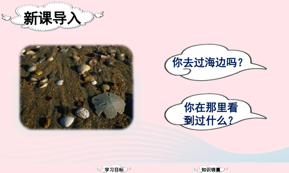 二年级语文下册 识字3《贝的故事》教学课件 新人教版-新人教版小学二年级下册语文课件