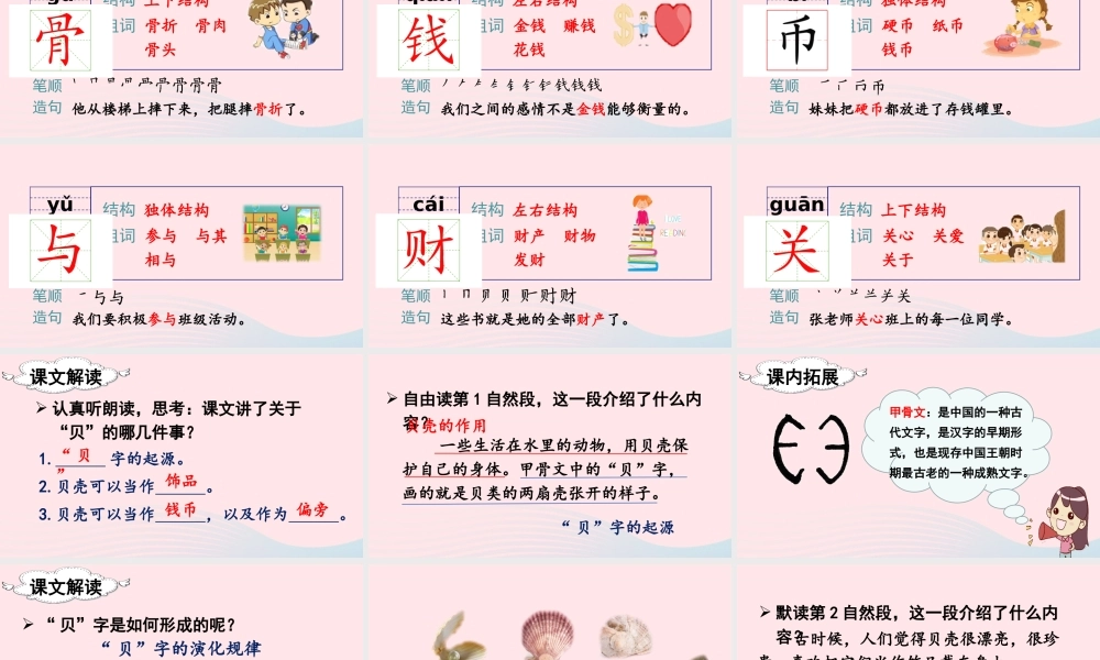 二年级语文下册 识字3《贝的故事》教学课件 新人教版-新人教版小学二年级下册语文课件