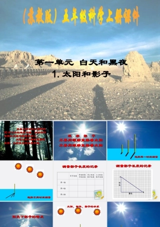 五年级科学上册 太阳和影子 2课件 苏教版