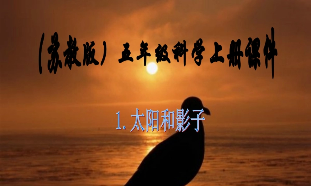 五年级科学上册 太阳和影子 3课件 苏教版