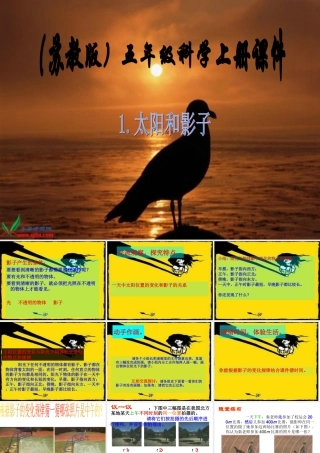 五年级科学上册 太阳和影子 3课件 苏教版