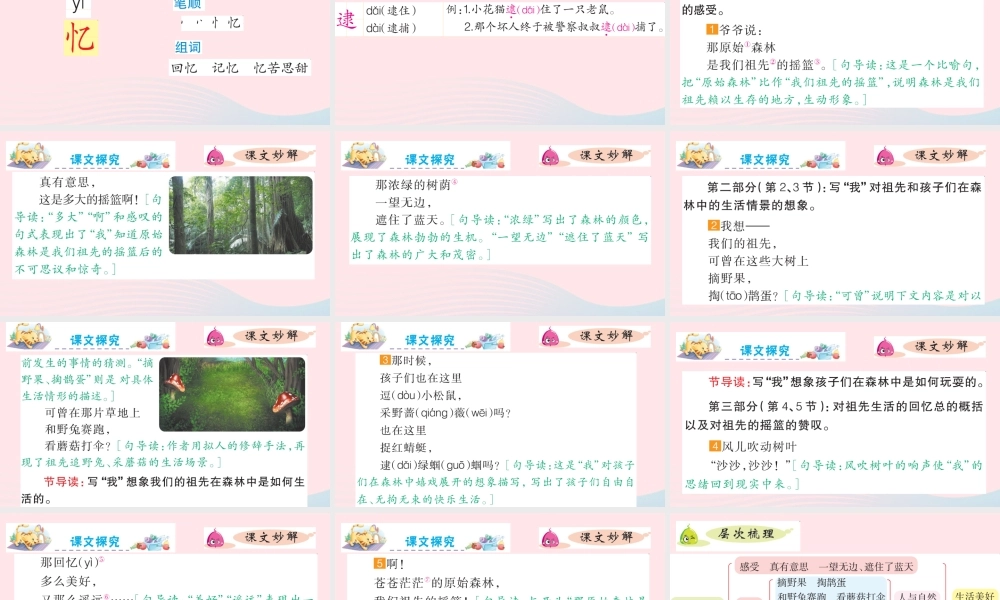 二年级语文下册 课文7 23 祖先的摇篮课件 新人教版-新人教版小学二年级下册语文课件