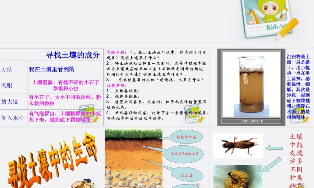 五年级科学上册 土壤里有什么 1课件 教科版