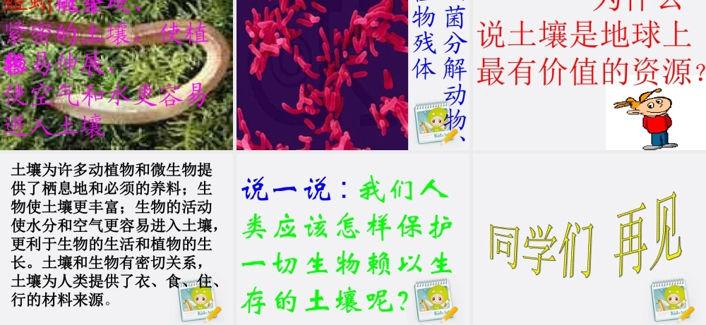 五年级科学上册 土壤里有什么 1课件 教科版