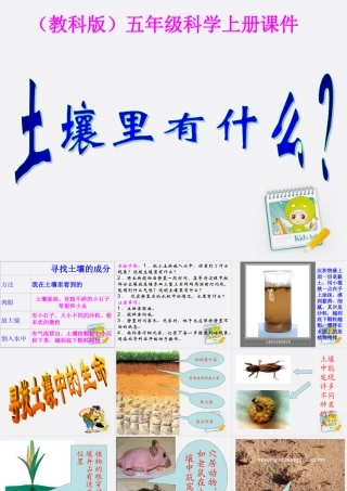 五年级科学上册 土壤里有什么 1课件 教科版