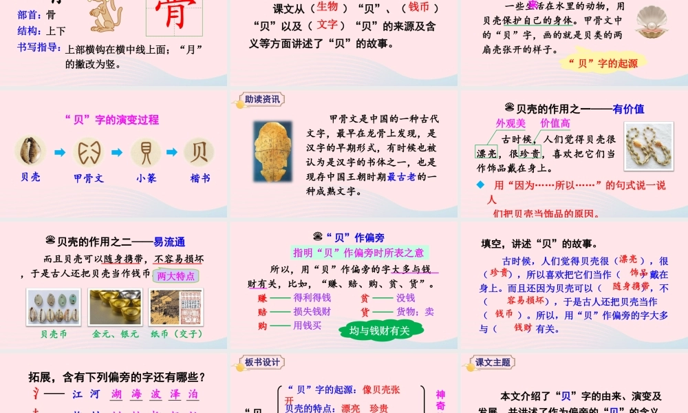 二年级语文下册 识字3《贝的故事》教学课件1 新人教版-新人教版小学二年级下册语文课件