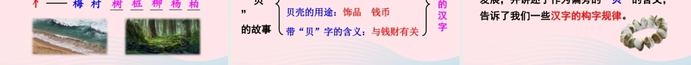 二年级语文下册 识字3《贝的故事》教学课件1 新人教版-新人教版小学二年级下册语文课件